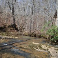Mini Farm with 1955 Renovated home and Custom Survival Home on 51.45 Acres - images 4