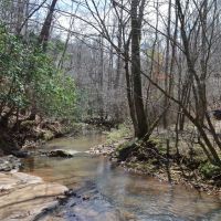 Mini Farm with 1955 Renovated home and Custom Survival Home on 51.45 Acres - images 5