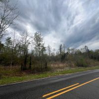 11 acres in North Perry