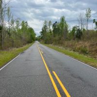 11 acres in North Perry images 2