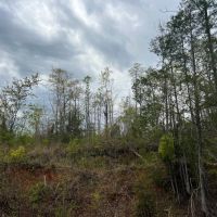 11 acres in North Perry images 3