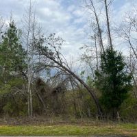 11 acres in North Perry images 4