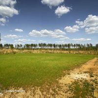 232 AC Stoney Point images 5