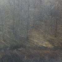 Recreation and Cropland in Northeast Arkansas images 5