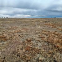 Roland Thompson CRP images 2