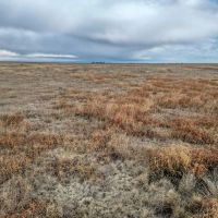 Roland Thompson CRP images 3