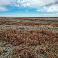 Roland Thompson CRP images 4