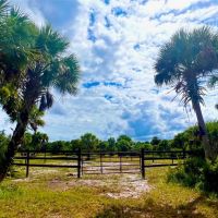 20 ACRE EQUESTRIAN PROPERTY images 2