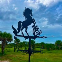 20 ACRE EQUESTRIAN PROPERTY images 3
