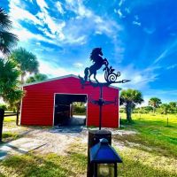 20 ACRE EQUESTRIAN PROPERTY images 4