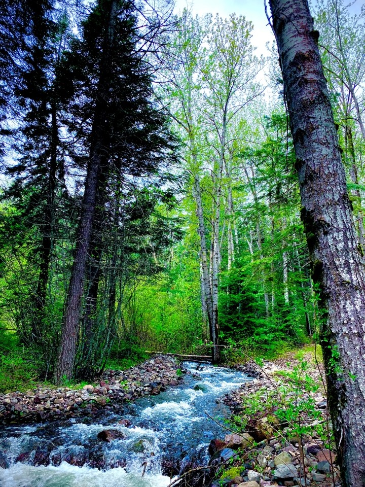 Indian Rock Ranch featured image