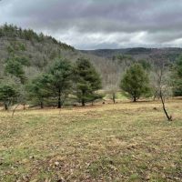 7 acre Building Lot and Recreational Land in Bolivar NY County Road 33