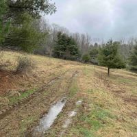7 acre Building Lot and Recreational Land in Bolivar NY County Road 33 images 3