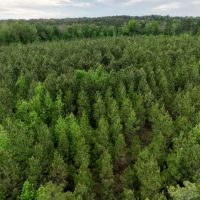 Walters 30 - acres images 5