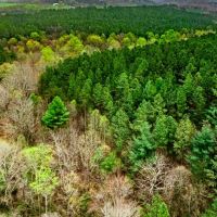 36.43 acres of Residential and Recreational Land For Sale in Franklin County VA images 2
