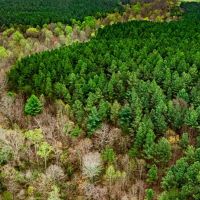 36.43 acres of Residential and Recreational Land For Sale in Franklin County VA images 3