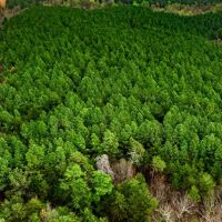 36.43 acres of Residential and Recreational Land For Sale in Franklin County VA images 4