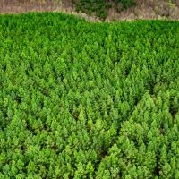 36.43 acres of Residential and Recreational Land For Sale in Franklin County VA images 5