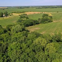 Jefferson County IA 23 Acres images 4