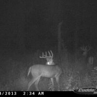 220 acres