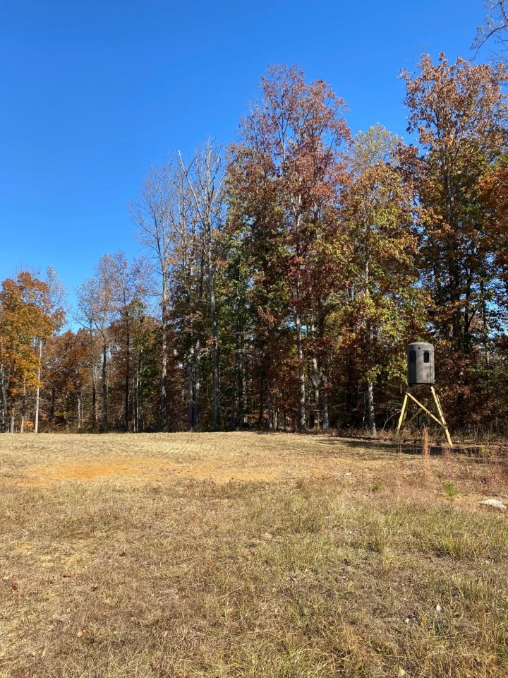 152 Acres Melody Mnt Scottsboro featured image