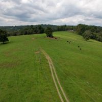 79.8 Acres of Land in Patrick County VA images 5