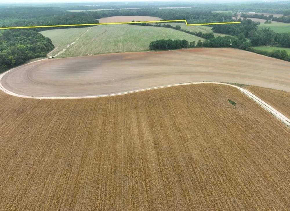200 Acres in Houston County featured image
