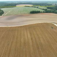 200 Acres in Houston County