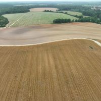 200 Acres in Houston County images 5