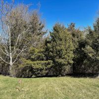 1 acre of Recreational and Residential Land For Sale in Montgomery County VA images 4