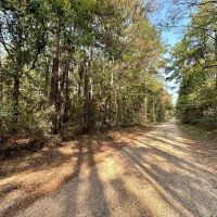 34.12 Acres Timberland Hunting Land for Sale Southeast LA