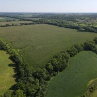 Farmland Auction - Foxtail Farms 239.5 acres m l Putnam County Mo images 4
