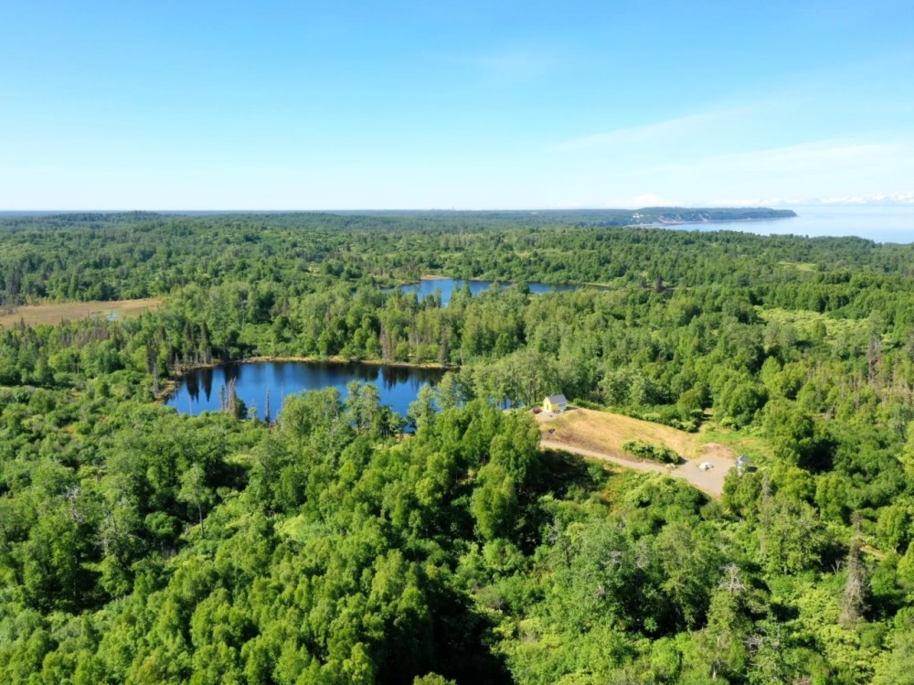 High Vista featured image