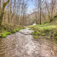 213.68 acres of excellent hunting and recreational property located in Jackson County Tennessee images 3