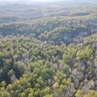 160 - acres Timberland images 4
