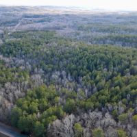 160 - acres Timberland images 5