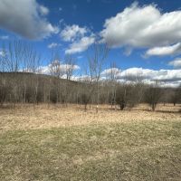 12 acres Recreational Land and Hunting Land in Grove NY County Road 15b with Financing Available