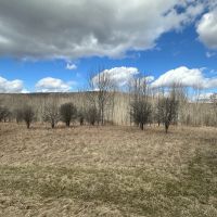 12 acres Recreational Land and Hunting Land in Grove NY County Road 15b with Financing Available images 2