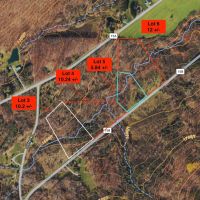 12 acres Recreational Land and Hunting Land in Grove NY County Road 15b with Financing Available images 3