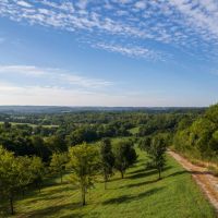 Culleoka Mini Farm 19.43 Acres