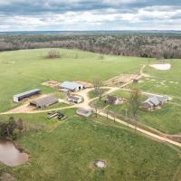 2 S Cattle Co images 1