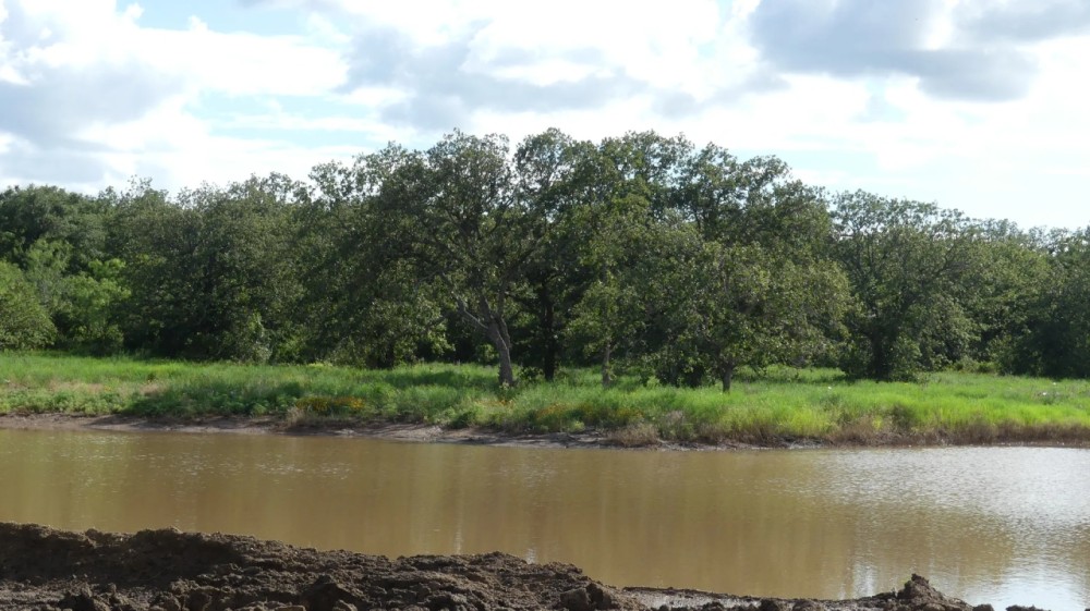 167 - Acres….Surface water Excellent hunting Oaks featured image
