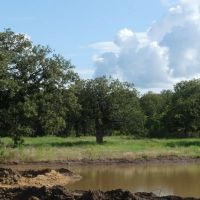 167 - Acres….Surface water Excellent hunting Oaks images 2