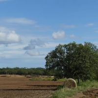 167 - Acres….Surface water Excellent hunting Oaks images 3