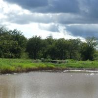 167 - Acres….Surface water Excellent hunting Oaks images 4