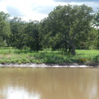 167 - Acres….Surface water Excellent hunting Oaks images 5