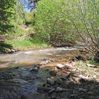 Uncompahgre Hunting Ranch images 3