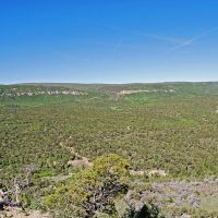 Uncompahgre Hunting Ranch images 4