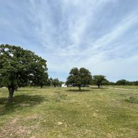 PRICE REDUCED 15.45 Acres Home Eastland County images 1