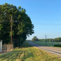Hunting Land and Potential Homestead in Harleton Texas images 2